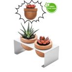 Halohope Metal Stantlı 2'Li Skulent Saksısı Beyaz Saksılık