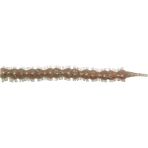 Han Fish Bibi 7cm Lrf Silikon Yem - Blodyworm