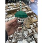Hanemlife Barista Borosilikat Cam Soğuk Içecek Bardağı Ayıcık Pipetli Bardak 500 ml - Yeşil