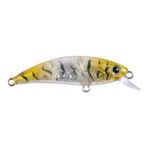 Hanfish Zıpır 50 kg K-22 Glass Shrimp