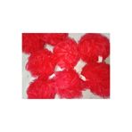 HANK TİCARET 60 Gr Büyük Boy Banyo Lifi Top Lif Tül Lif Kırmızı