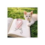 Hanori Accessory Pudra Kadife Kurdeleli Silver Charm Kitap Ayracı