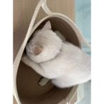 Hansa Polip Jüt Konforlu Sweet Kedi Yatağı,kulaklı Kedi Evi - Vizon Rengi - Standart