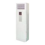 Hantech HNT-S48ATCL/S 48000 BTU Salon Tipi Inverter Klima
