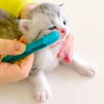 Hanyang 02 Çevre Dostu Yavru Kedi Göz Ovmak El Kedi Gözü Ovmak Gözler Kaka Fırçası Temizleme Yeniden Kullanılabilir Toka Tasarım Pet Tarak Gözy Leke Fırçası (Yurt Dışından) - Renkli
