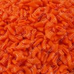 Hanyang Orange M 100 Adet Yeni Moda Kedi Tırnak Kapakları Yumuşak Kedi Pençesi Kapaklar Kedi Tırnak Koruyucu Ücretsiz Yapıştırıcı ve Aplikatör ile Boyutu Xs S M L (Yurt Dışından) - Renkli