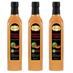 Hanzade Bitkisel Karpuz Sirkesi 500 ML x 3 Adet Doğal Fermantasyon İçilebilir Katkısız Cam Şişe