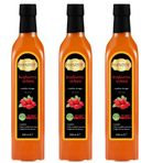 Hanzade Bitkisel Kuşburnu Sirkesi 500 ML x 3 Adet Doğal Fermantasyon İçilebilir Katkısız Cam Şişe