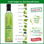 Hanzade Bitkisel Sıvı Klorofil Kürü Buğday Çimi Ilaveli Bitki Ekstraktları 500 ml Cam Şişe - 1 Adet