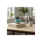 Happiears Modern Tasarım Dekoratif Saksı - Pastel Serisi Mavi
