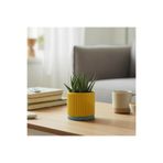 Happiears Modern Tasarım Dekoratif Saksı - Pastel Serisi Sarı