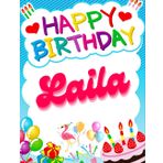 Happy Birthday Laila: Birthday Sketchbook and Notebook for Doodling, Sketching, Drawing, Painting, Diary Birthday gift for Girls: 120 Pages, 8.5*11 inch