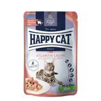 Happy Cat 85 gr Meat in Sauce Sterilised Somonlu Kısırlaştırılmış Kedi Yaş Maması