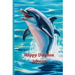 Happy Dolphin Johnny