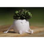 Happy Pot - Mini Sukulent ve Kaktüs Saksısı - Sevimli Masaüstü Dekoratif Saksı - Modern Ev ve Ofis Hediyesi