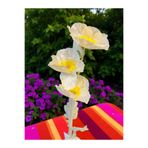 Happyland Yapay Çiçek Gelincik Dalı 1 adet Sarı Renk 60 cm Gelincik HPY-26132
