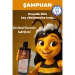 Har-Bee Harbee Propolisli Şampuan - Besleyici Onarıcı Canlandırıcı Doğal 350ml