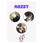 Hara Company Nerd Project Rozet Seti 3’lü
