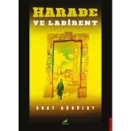 Harabe ve Labirent Suat Gönülay
