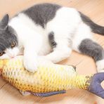 Hareketli Balık Kedi Oyuncağı Şarjlı