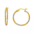 Harem Altın 3 Renk 2.5 Cm Çaplı Dorika Halka Küpe Kp046