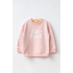 Haribo Kız Çocuk Baskılı Sweatshirt Pudra SW305 - 2 - 3 Yaş