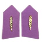 HARİCİ ASTSUBAY İKMAL SPOLET - YAKA İŞARETİ
