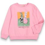 Harika Kids Kız Çocuk Orta Kalınlıkta Basic Sweatshirt - 13 - 14 Yaş - Pembe