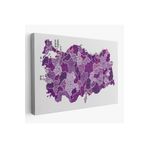 Harita Sepeti Türkiye Haritası Kanvas Tablo İl Ve İlçeli Ayrıntılı Eğitici Dekoratif Tablo 3025 95 X 55 Karışık Hs-3025