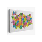 Harita Sepeti Türkiye Haritası Kanvas Tablo İl Ve İlçeli Ayrıntılı Eğitici Dekoratif Tablo 3029 95 X 165 Karışık Hs-3029