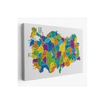 Harita Sepeti Türkiye Haritası Kanvas Tablo İl Ve İlçeli Ayrıntılı Eğitici Dekoratif Tablo 3032 95 X 165 Karışık Hs-3032