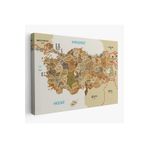 Harita Sepeti Türkiye Haritası Kanvas Tablo Il Ve Ilçeli Ayrıntılı Eğitici Komşulu Dekoratif Tablo 3020 125 X 210 Karışık Hs-3020