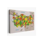 Harita Sepeti Türkiye Haritası Kanvas Tablo İl Ve İlçeli Ayrıntılı Eğitici Komşulu Tablo 2999 95 X 165 Karışık Hs-2999