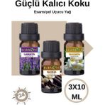 Harmoni Lavanta- Yasemin- Vanilya Saf Esansiyel Uçucu Yağ Buhurdanlık Yağ Esansı Parfüm 3X10ML - Lavanta-Yasemin-Vanilya