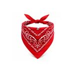 HarmonyAura 1766574360644 Kırmızı Kovboy Fuları Çocuk Bandana