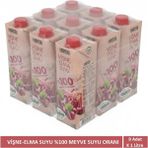 Harras %100 Vişne Elma Suyu 9 x 1 Litre | Katkısız Doğal | Şeker Ilavesiz ve Alerjen Içermez - 9 lt