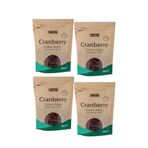 Harras Kurutulmuş Turna Yemişi Cranberry 4'lü Paket | İthal Enerji Deposu | 4 Adet X 150 gr