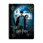 Harry Potter A4 60 Yaprak Kareli Spiralli Defter