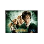 Harry Potter A4 Çıtçıtlı Dosya (Plastik)