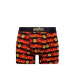 Harry Potter Baskılı Siyah Boxer 0912219-900