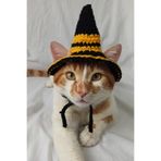 Harry Potter Hogwarts Hufflepuff Cadı Şapka Örgü Kedi Köpek Şapkası Evcil Hayvan Şapkası