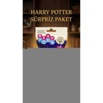 Harry Potter Koleksiyon Figür Seti 2'li - Sürpriz Temalı Oyuncak BX-YBFYML7Z34LDQ