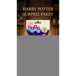 Harry Potter Koleksiyon Figür Seti 2'Li - Sürpriz Temalı Oyuncak