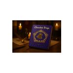 Harry Potter Orjinal Lisanslı Chocolate Frog Temalı Mini Defter