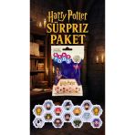 Harry Potter Sürpriz Figür Seti Çocuklar Ve Koleksiyonerler İçin 2 Adet