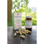 Harşena Ekstrakt Propolis Kapsül 40 Kapsül
