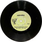 Hasan Göğer - Müjde Hanım Ben Muallim Oldum Ah Fakirlik PLAK (107) PLK22876