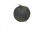 Hasanbey 1 Kavun Tohumu Paket 10 Gram