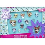 Hasbro E3034 Miniş Koleksiyoner Seti