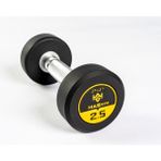 Hasgym 2,5 kg Kauçuk Kaplı Profesyonel Olimpik Dumbbell ( Dambıl ) - Siyah - Sarı